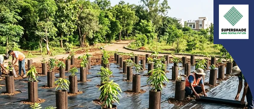 Tree Guard Manufacturer in India