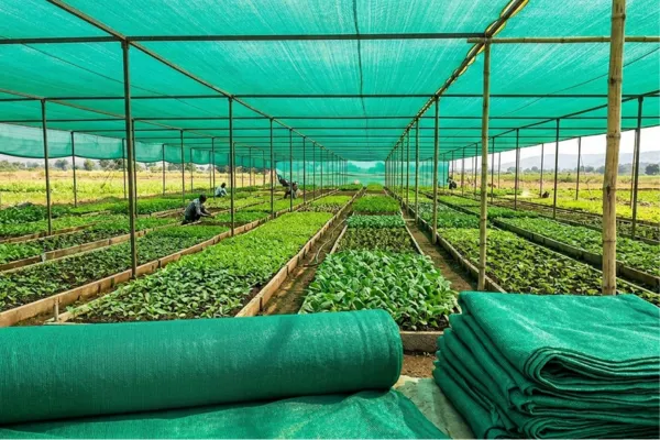 Agro Shade Net Manufacturer in Chhattisgarh