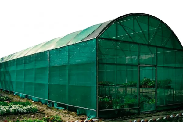 Agro Shade Net Manufacturer in Chhattisgarh