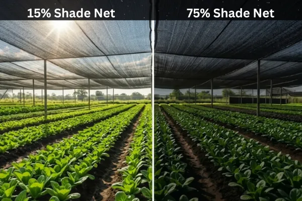 Agro Shade Net Manufacturer in Chhattisgarh